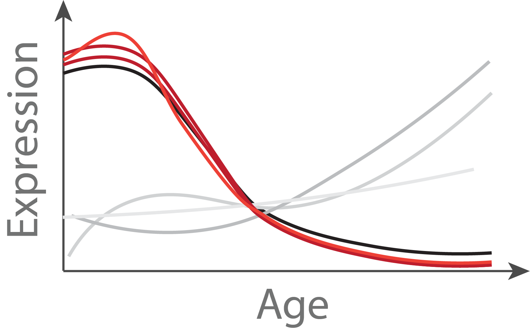 Picture of Lifespan module